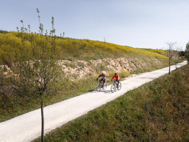 Top 10 Cykelruter i Danmark For Naturskønne Oplevelser